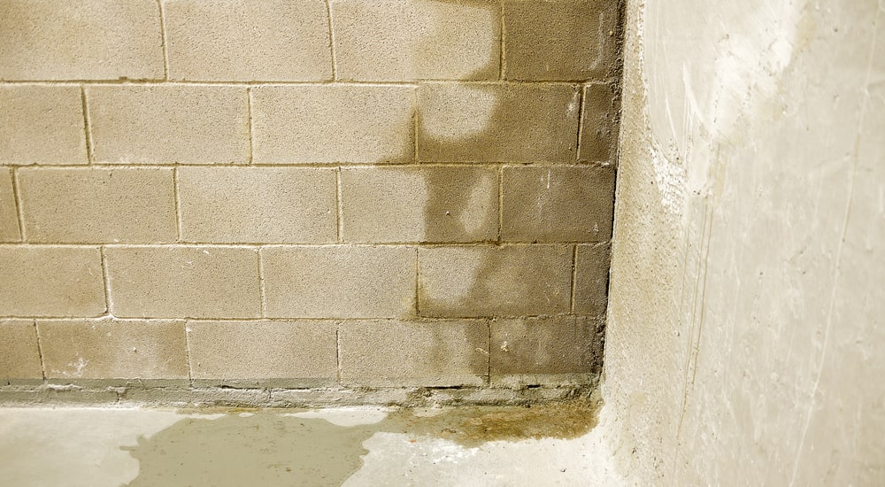 Infiltration humidité mur Nord EMA Fuites